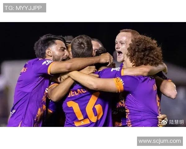 狮吼与胜利的较量竞彩001精彩对决分析与预测