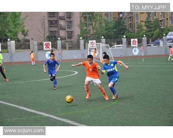 菲律宾与新加坡东南锦赛精彩对决展现足球魅力与激情