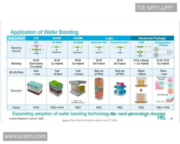 上海乒乓球队的节奏分析与未来发展趋势探讨