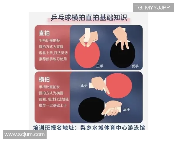 杨芳独家分享乒乓球技巧与心得助你提升球技的秘密之道