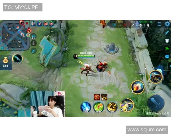 王者荣耀评论分析：JDG战队进攻策略的优缺点与未来改进方向