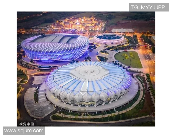 武汉网球队展现实力最新网球速度TOP10榜单揭晓